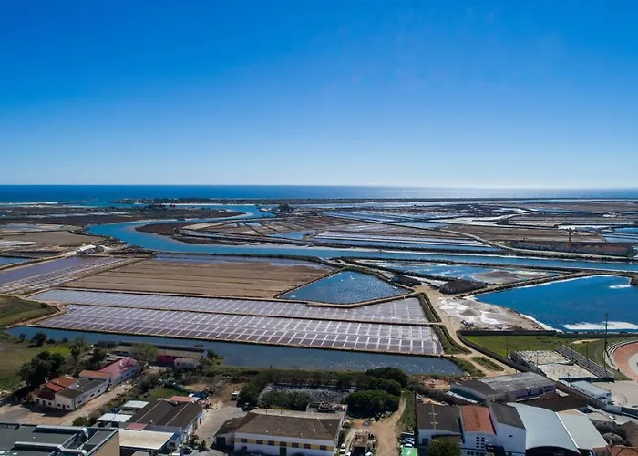 Flamingos Flat דירה